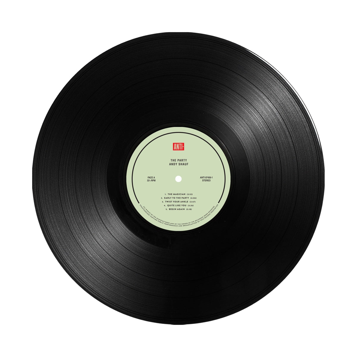 Andy Shauf The Party 10th Anniversary Edition black vinyl detail