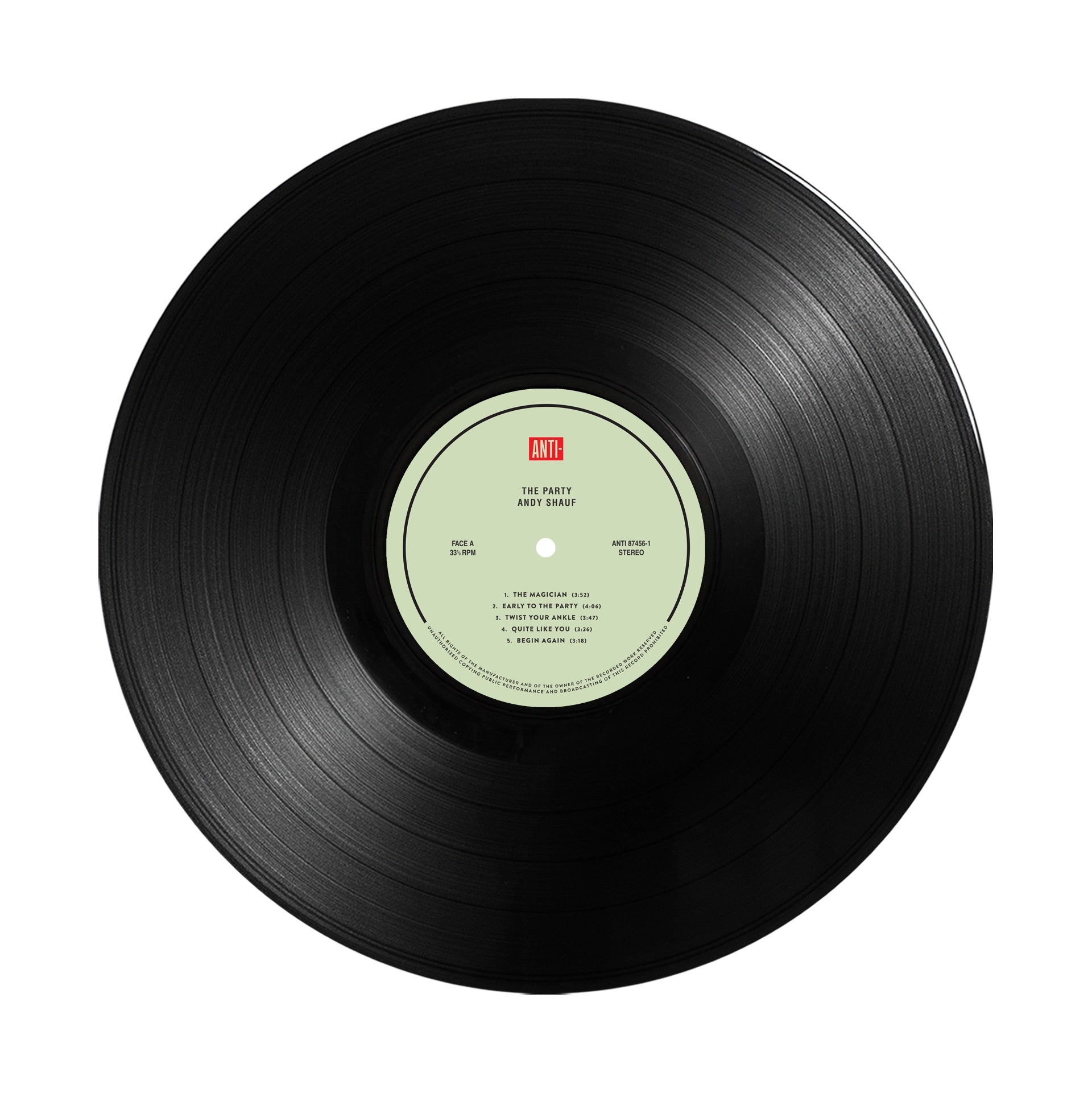 Andy Shauf The Party 10th Anniversary Edition black vinyl detail