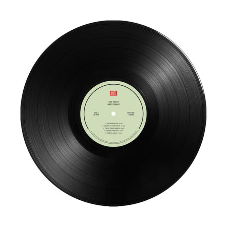Andy Shauf The Party 10th Anniversary Edition black vinyl detail