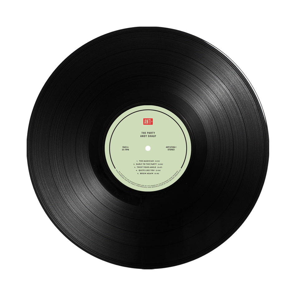 Andy Shauf The Party 10th Anniversary Edition black vinyl detail
